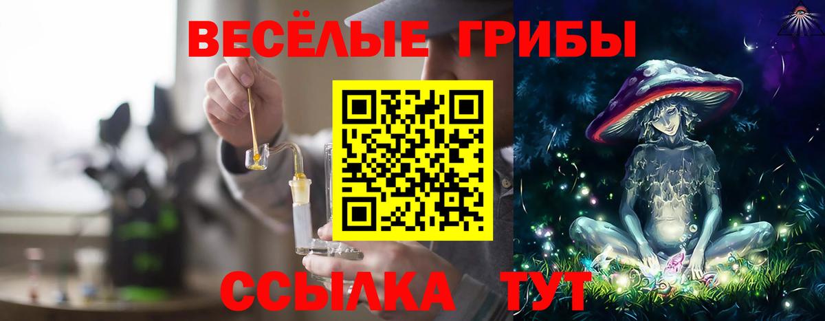 Родники  где найти наркотики  Вход с VPN  Галлюциногенные грибы Cubensis 